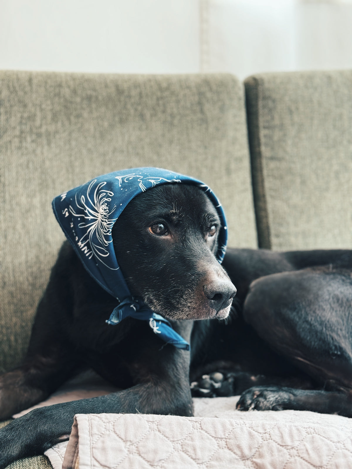 EINU Bandana: Dark Blue